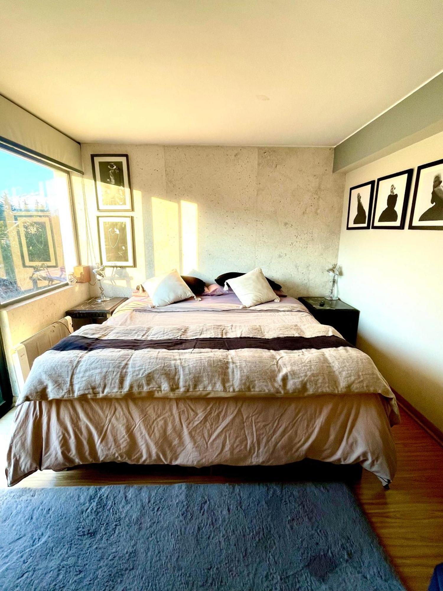 Departamento Delux Daire Santiago Dış mekan fotoğraf